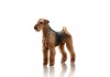 Sticker Chien airedale terrier debout