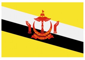 Sticker drapeau Brunei-Darussalam