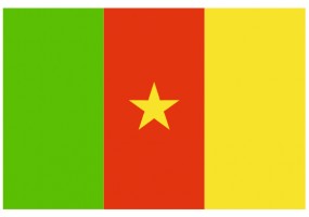 Sticker drapeau Cameroun