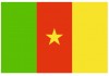 Sticker drapeau Cameroun