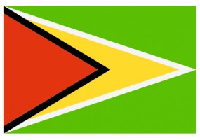 Sticker drapeau Guyana