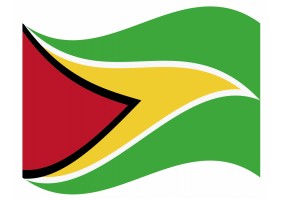 sticker drapeau Flottant Guyana