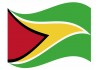 sticker drapeau Flottant Guyana