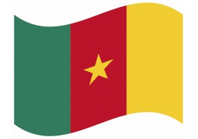 sticker drapeau Flottant Cameroun