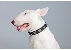 Sticker chien bull terrier