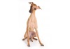 Sticker chien lévrier