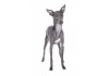 Sticker chien lévrier