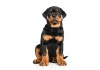 Sticker chien rottweiler