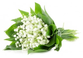 Sticker muguet