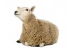 Sticker mouton