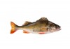 Sticker poisson perche