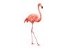 Sticker mural flamant rose