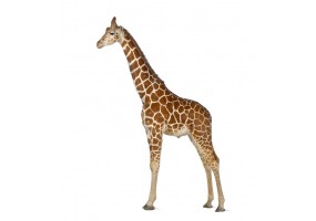 Sticker girafe