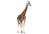 Sticker girafe