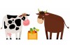 Sticker Taureau et sa vache mange