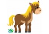 Sticker Cheval jolie