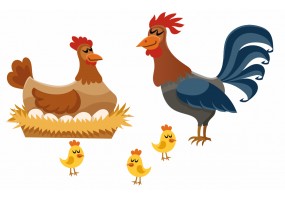 Sticker Poule, coq et les poussins