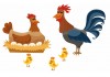 Sticker Poule, coq et les poussins