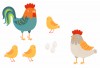 Sticker Poule et coq en famille