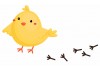 Sticker Poussin petits pas