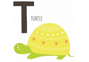 Sticker Tortue avec lettre