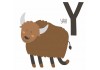 Sticker Bison avec lettre