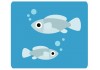 Sticker Poisson