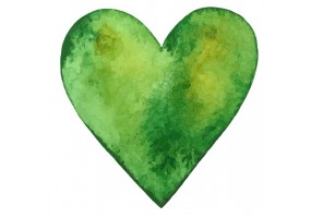 Sticker Coeur beau vert