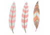 Sticker plumes Indien