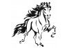 Stickers muraux Cheval galop