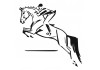 Sticker Chevaux grand saut