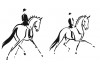 Sticker double Chevaux sur cavaliers