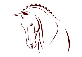 Sticker Chevaux compétition