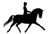 Sticker Chevaux noir grand