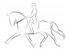 Sticker Chevaux sur cavalier deco