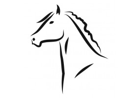 Sticker Cheval deco