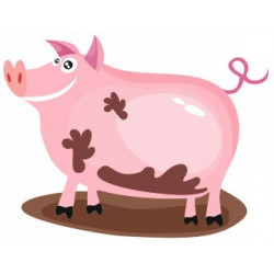 Sticker enfant Cochon