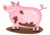 Sticker enfant Cochon