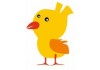 Sticker enfant Poussin