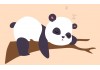 Sticker Panda