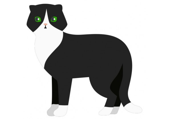 Sticker Chat noir aux yeux verts 