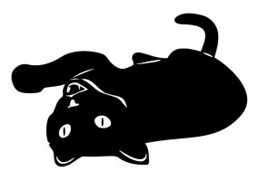 Sticker Chaton sur dos