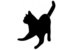 Sticker Chat veut jouer