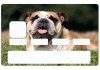 Sticker carte bancaire Bulldog