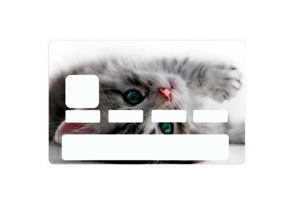 Sticker carte bleu Chat