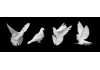 Sticker Colombe en vol