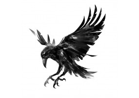 Sticker Corbeau en vol