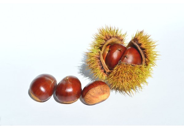 Stickers Muraux Chataigne Deco Cuisine