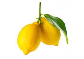 Sticker Citron jaune feuilles