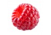 Sticker Framboise